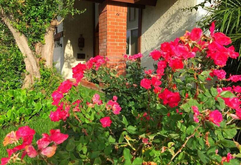 Romantic And Luxury Disney Villa