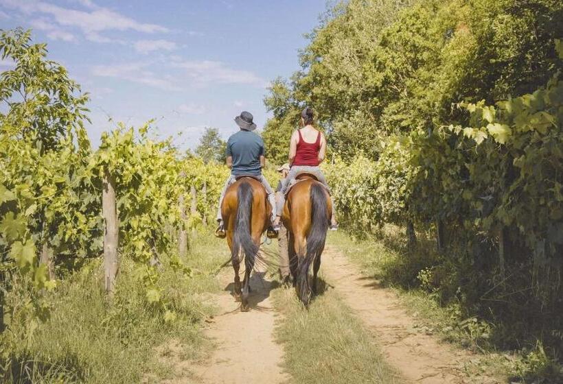 Villa Paglianiti   Your Family Residence!