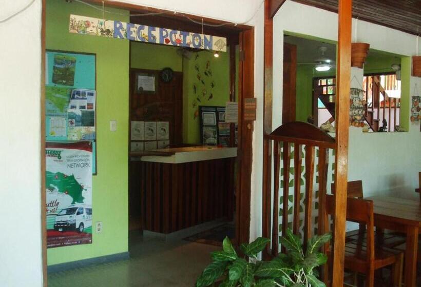 فندق صغير Casa Del Mar