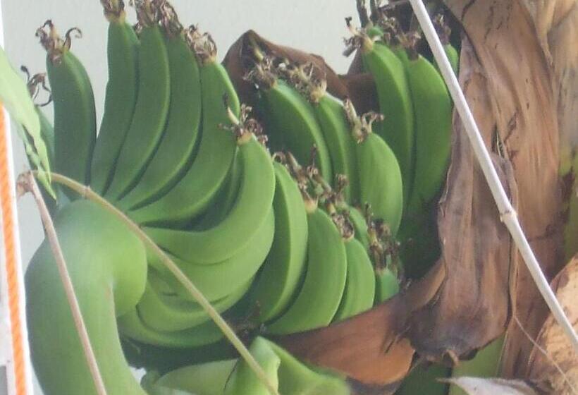 فندق صغير Casa Del Mar