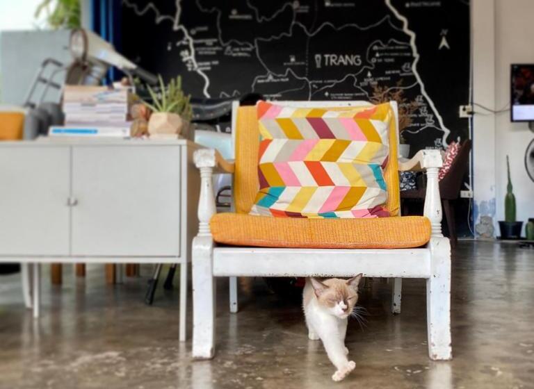 فندق صغير Nokhook House