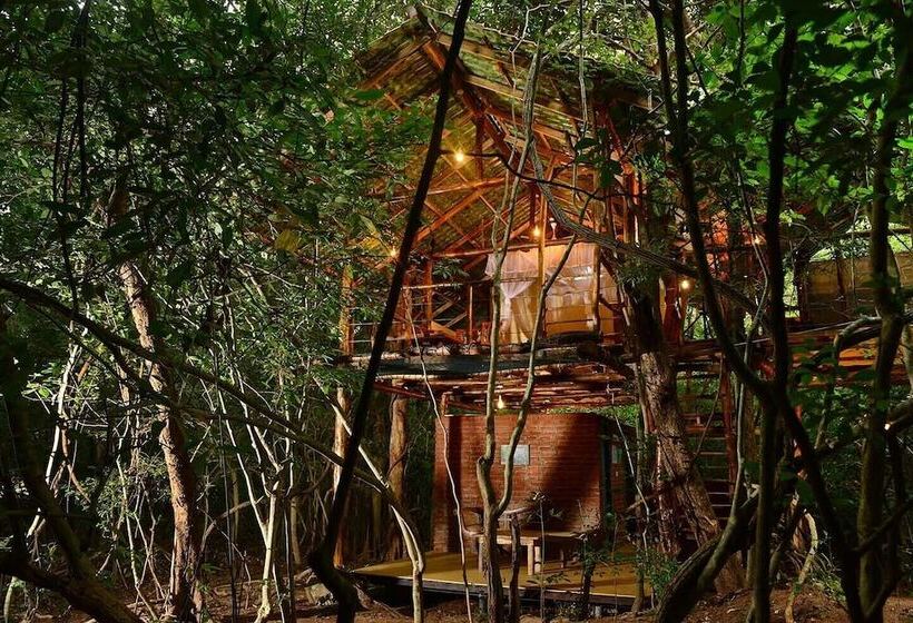 Back Of Beyond Pidurangala