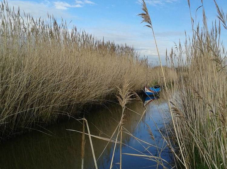 Be And See In Nature