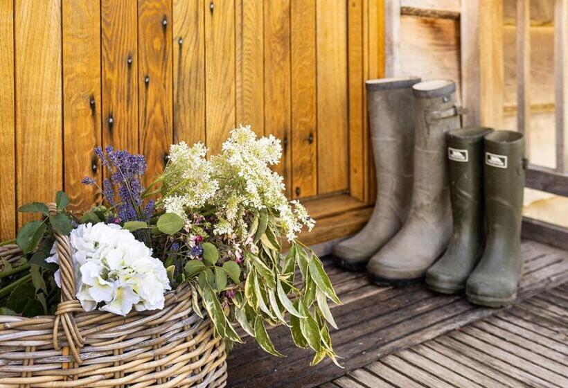 ベッドアンドブレックファースト Abbots Grange Manor House