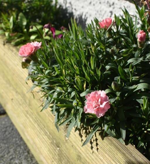 צימר Eaton House