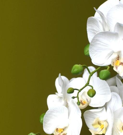 צימר Eaton House