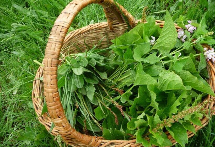 צימר La Bifora E Le Lune Vico Sotto Gli Archi 5