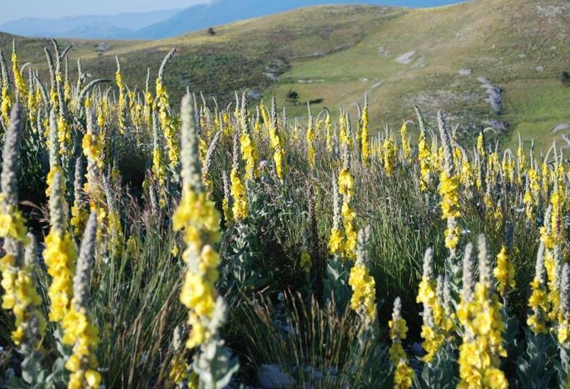 צימר La Bifora E Le Lune Vico Sotto Gli Archi 5