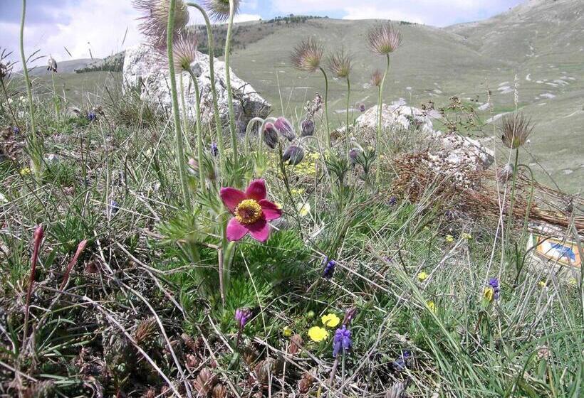 צימר La Bifora E Le Lune Vico Sotto Gli Archi 5