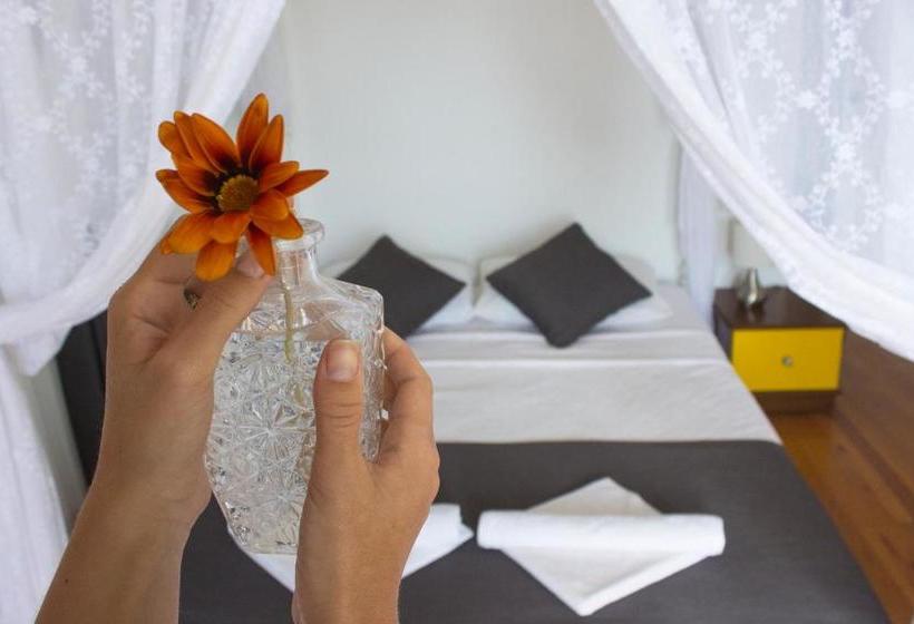 住宿加早餐  Lumina Otel