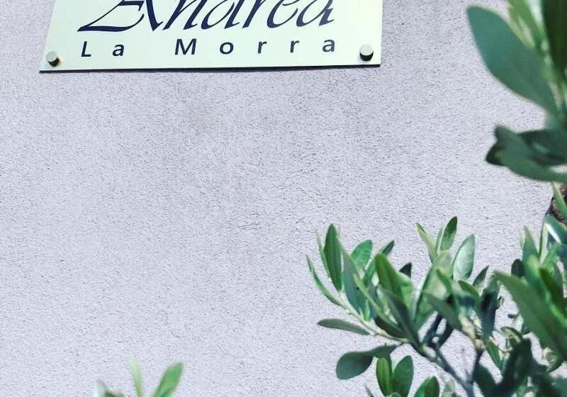 住宿加早餐  Casa Andrea