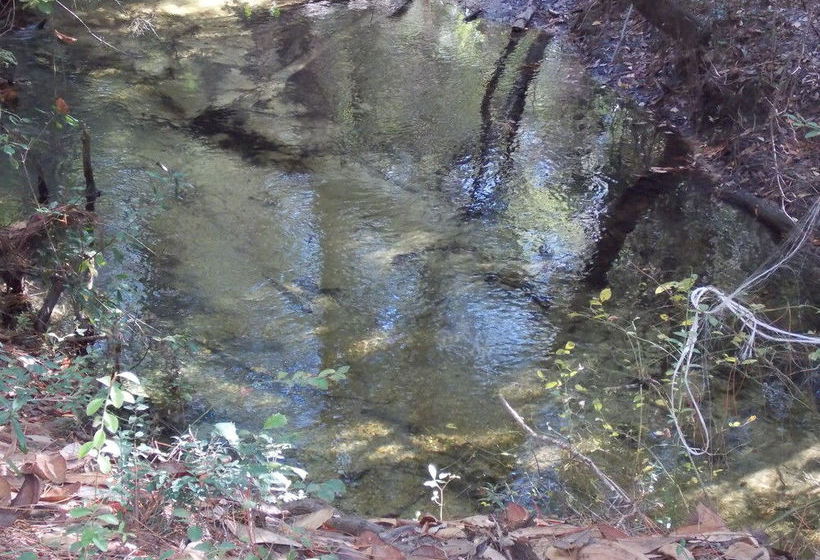 فندق Adventures Unlimited Resort