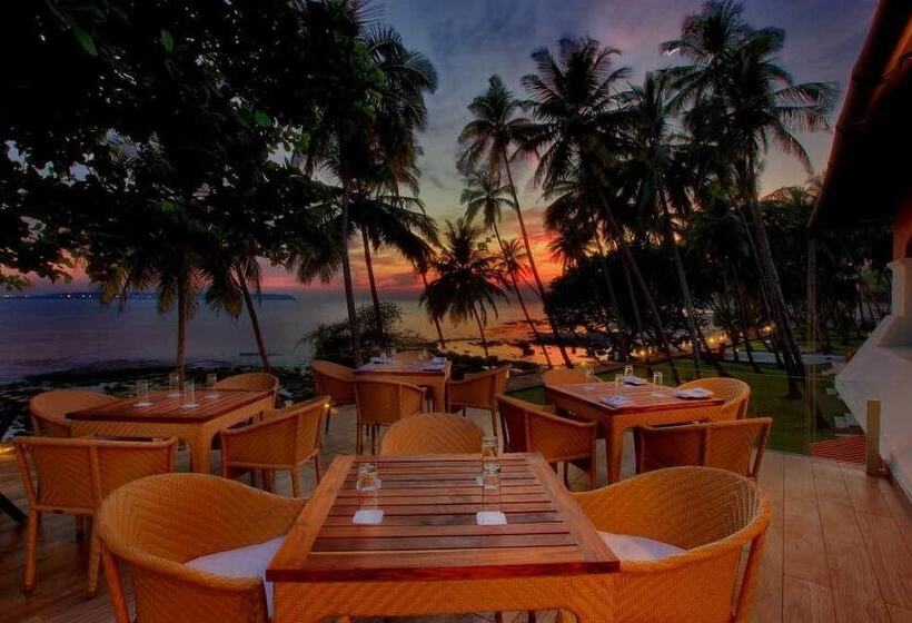 בית מלון כפרי Bay15