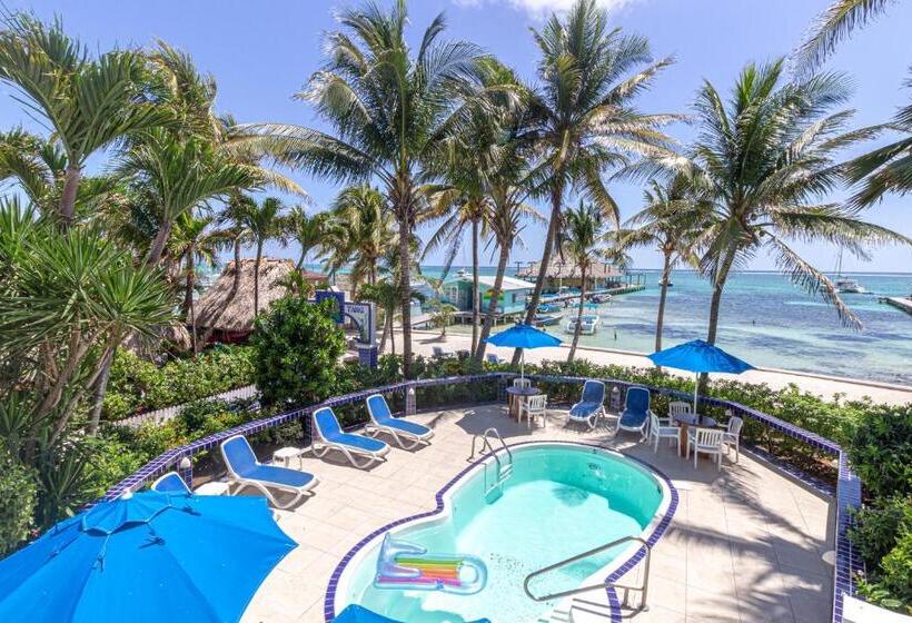 ホテル Blue Tang Inn