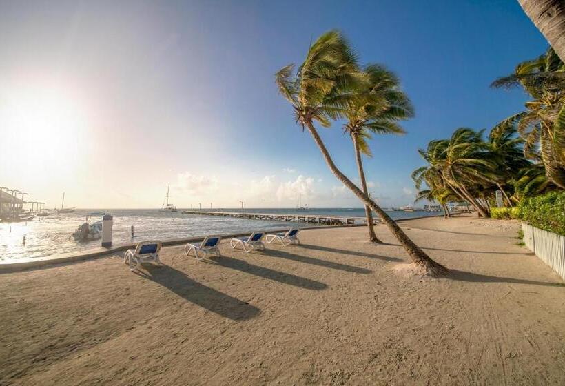 ホテル Blue Tang Inn