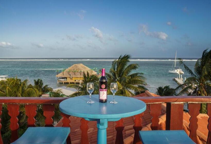 فندق Blue Tang Inn