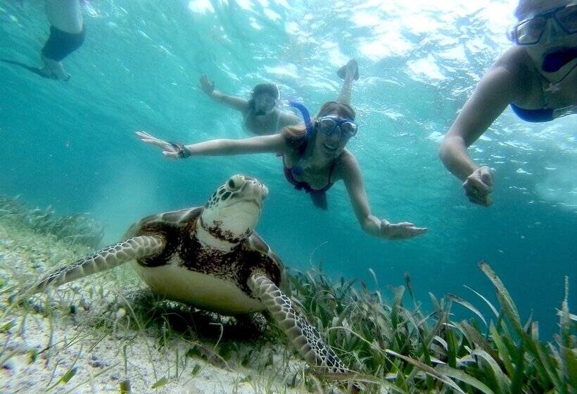 ホテル Blue Tang Inn