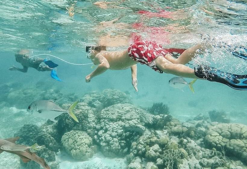 ホテル Blue Tang Inn