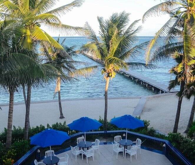 ホテル Blue Tang Inn