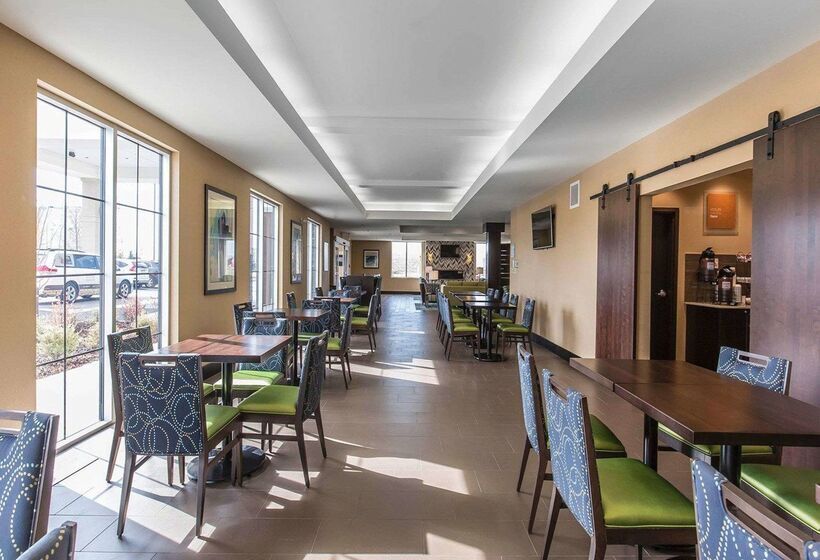 فندق Comfort Inn & Suites Airport North