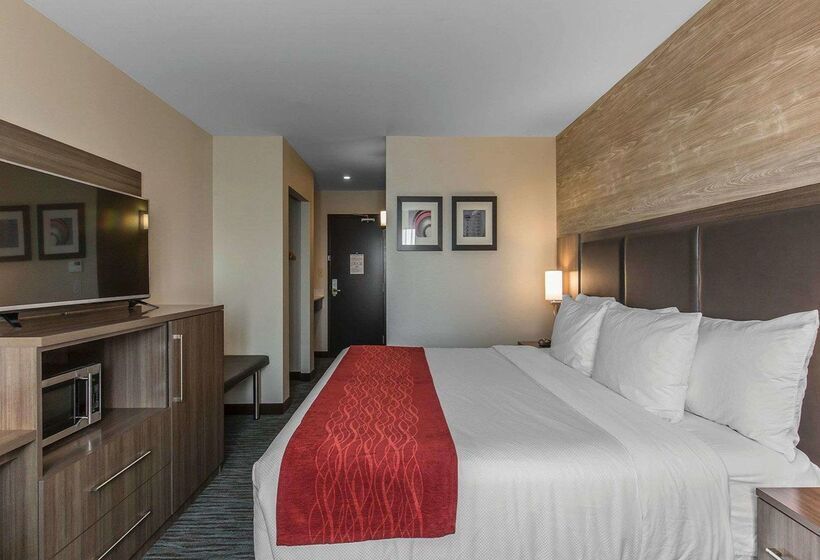 فندق Comfort Inn & Suites Airport North