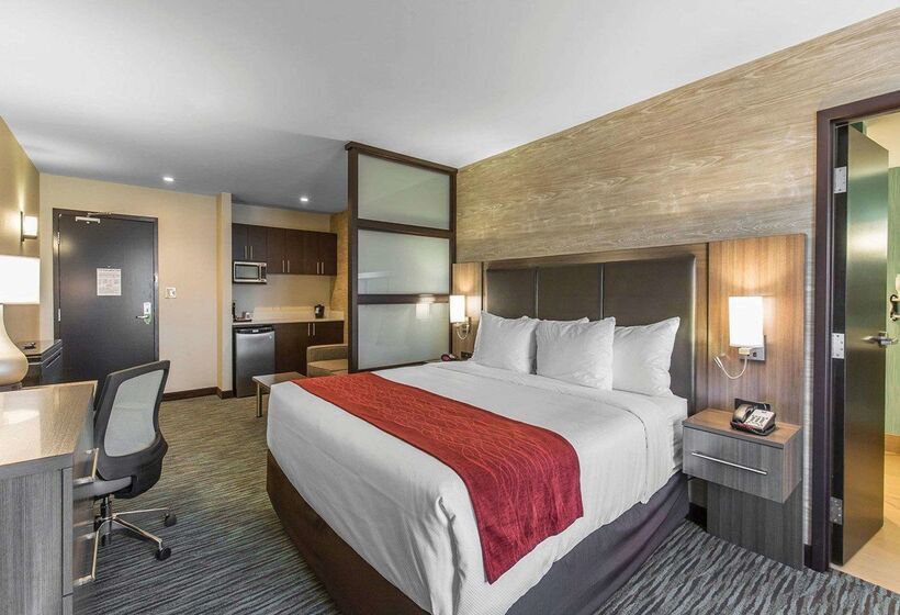 فندق Comfort Inn & Suites Airport North