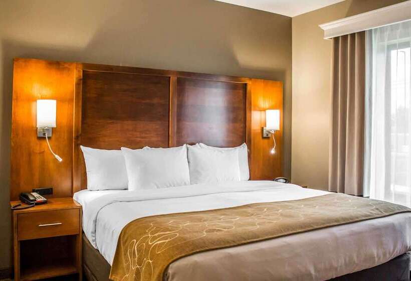 Отель Comfort Suites Hartville North Canton