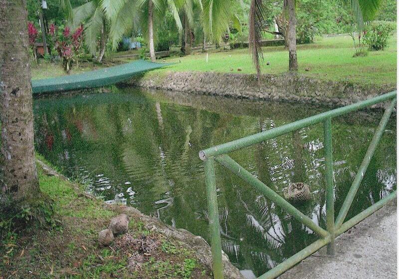 ホテル El Pizote Lodge