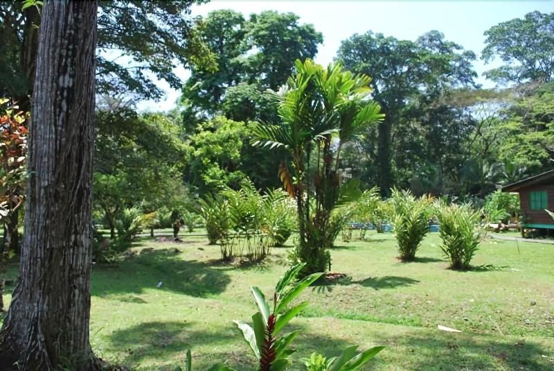 ホテル El Pizote Lodge