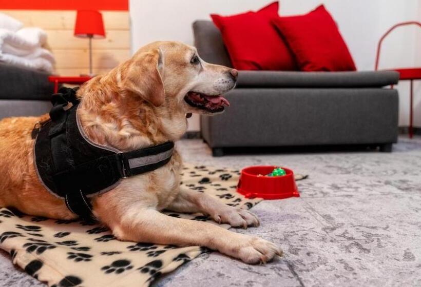 酒店 Gronie Ski & Bike