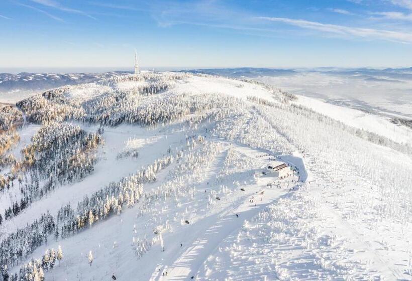 酒店 Gronie Ski & Bike