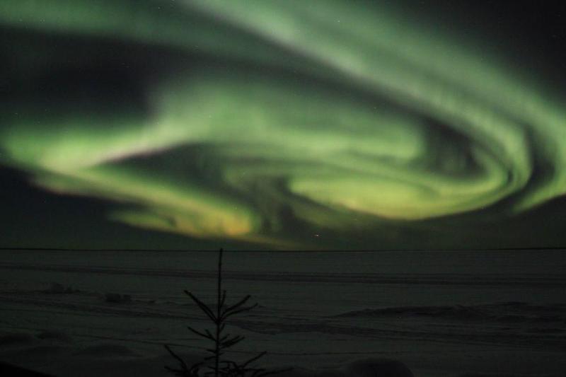 فندق Holiday Inn Express & Suites Cold Lake, An Ihg