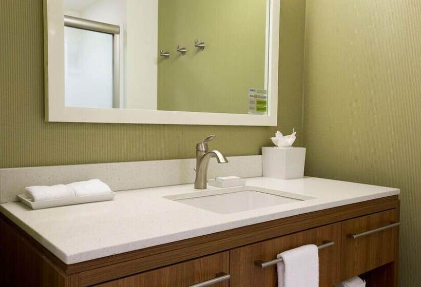 Отель Home2 Suites By Hilton Canton