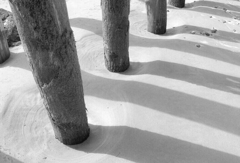 فندق Hôtel Le Vivier Wissant   Vue Mer   Côte D Opale   Baie De Wissant   2caps