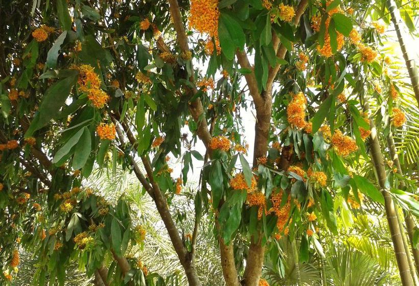 Отель Huan Chiang Dao Resort