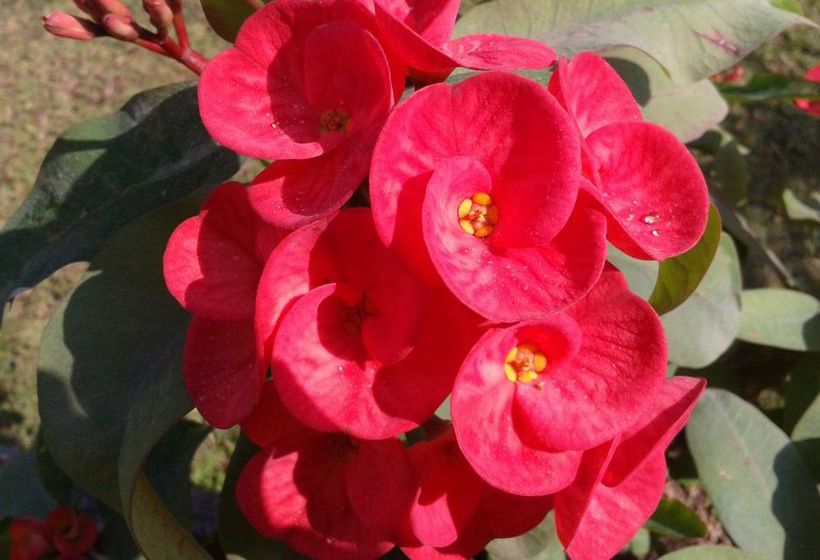 Отель Huan Chiang Dao Resort