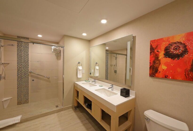 هتل Hyatt Place Tegucigalpa