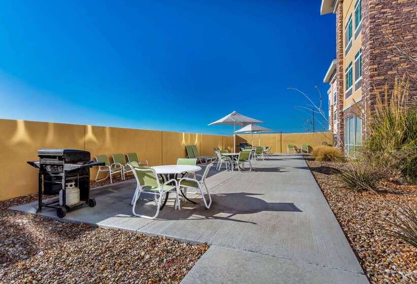 酒店 La Quinta By Wyndham Monahans