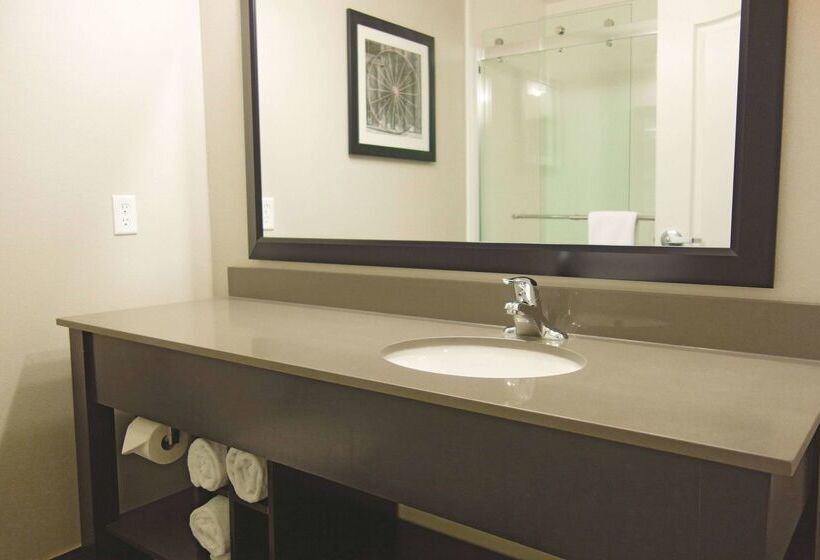 酒店 La Quinta By Wyndham Monahans