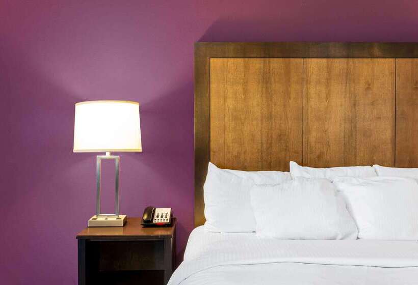 酒店 La Quinta By Wyndham Monahans