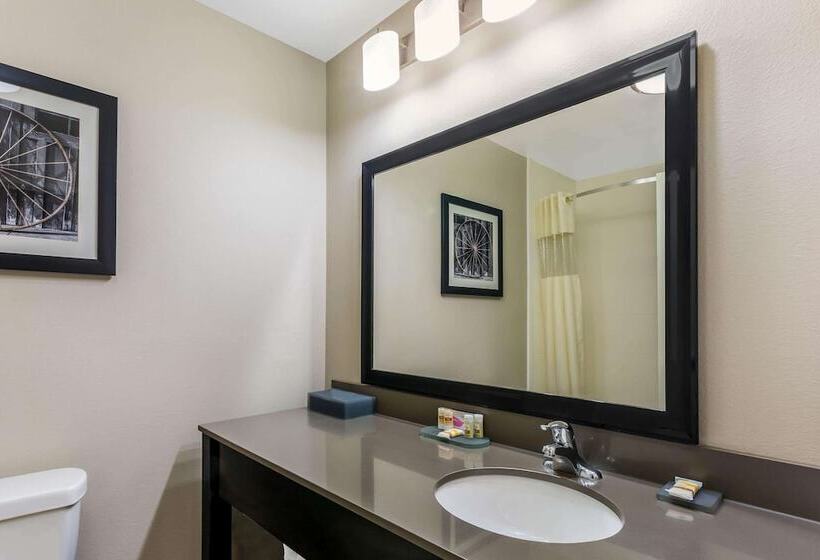 酒店 La Quinta By Wyndham Monahans