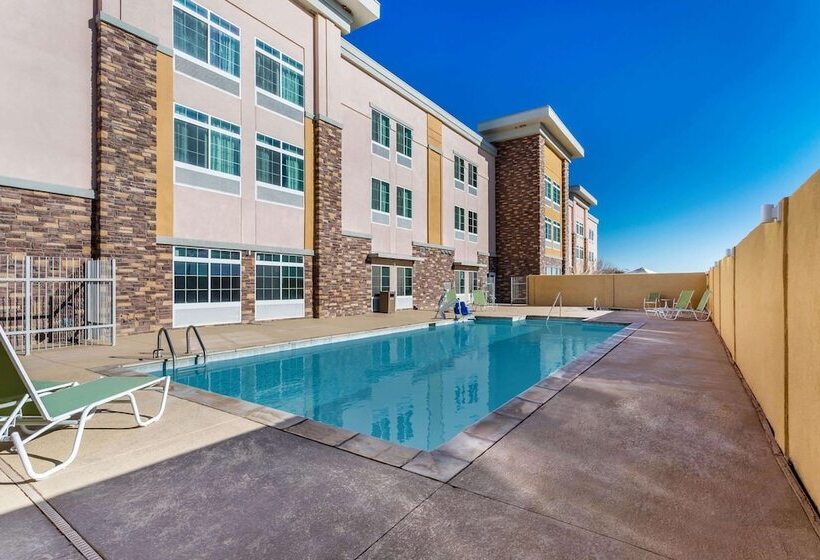 酒店 La Quinta By Wyndham Monahans