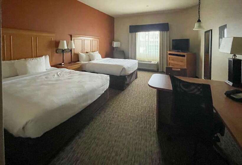 فندق Mainstay Suites Sidney  Medical Center