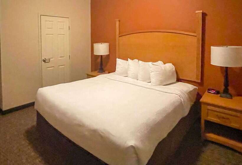 בית מלון כפרי Mainstay Suites Sidney  Medical Center