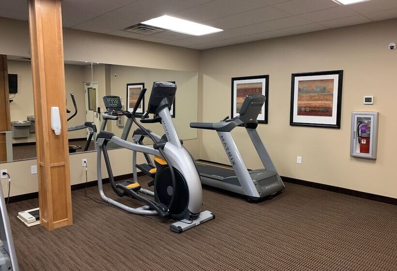 فندق Mainstay Suites Sidney  Medical Center