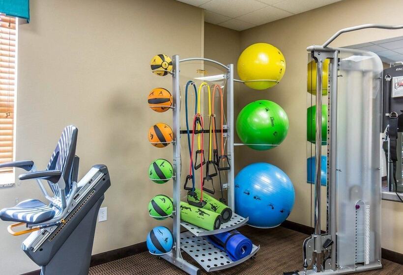 בית מלון כפרי Mainstay Suites Sidney  Medical Center