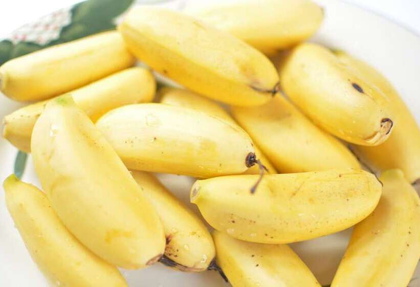 فندق Neakru Guesthouse And Restaurant