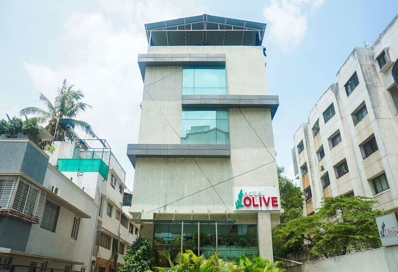 בית מלון כפרי Olive