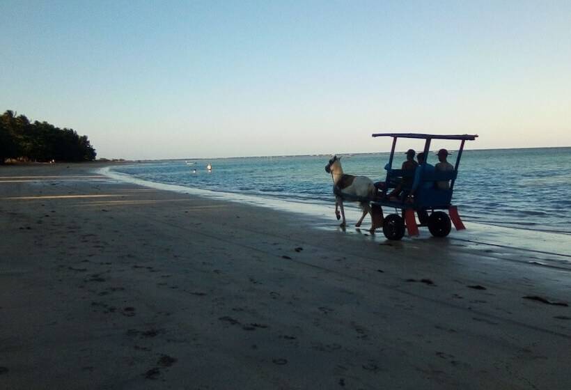 فندق Pousada Bem Te Vi