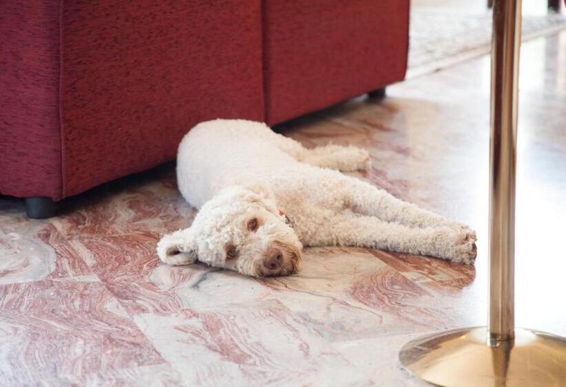 בית מלון כפרי Ricordo Du Parc